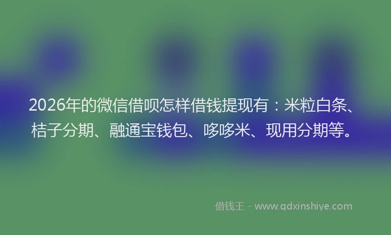 2026年的微信借呗怎样借钱提现有:米粒白条、桔子分期、融通宝钱包、哆哆米、现用分期等。