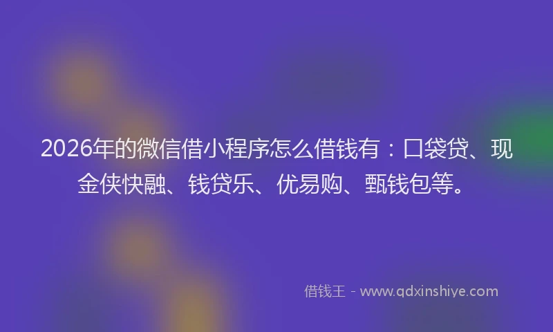 2026年的微信借小程序怎么借钱有:口袋贷、现金侠快融、钱贷乐、优易购、甄钱包等。