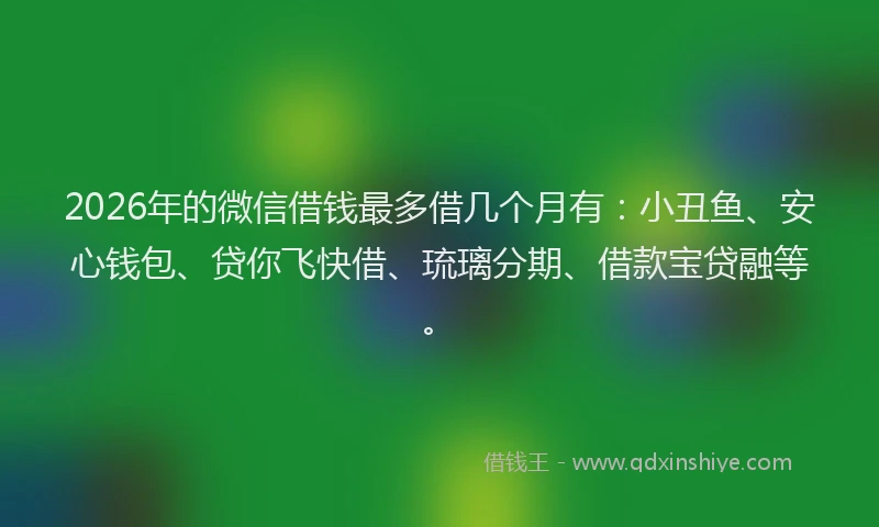 2026年的微信借钱最多借几个月有：小丑鱼、安心钱包、贷你飞快借、琉璃分期、借款宝贷融等。