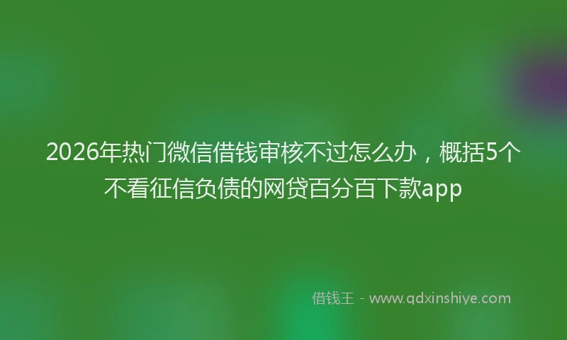 2026年热门微信借钱审核不过怎么办，概括5个不看征信负债的网贷百分百下款app