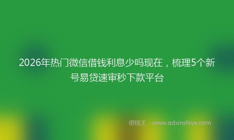 2026年热门微信借钱利息少吗现在，梳理5个新号易贷速审秒下款平台
