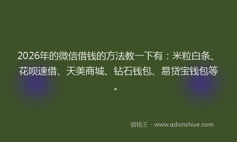 2026年的微信借钱的方法教一下有：米粒白条、花呗速借、天美商城、钻石钱包、易贷宝钱包等。