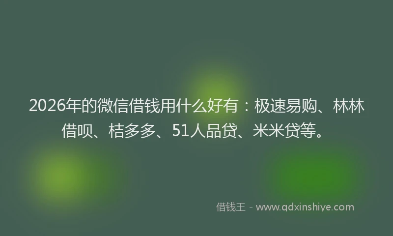 2026年的微信借钱用什么好有:极速易购、林林借呗、桔多多、51人品贷、米米贷等。
