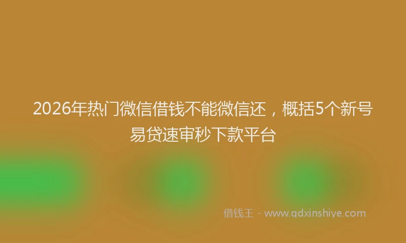 2026年热门微信借钱不能微信还，概括5个新号易贷速审秒下款平台