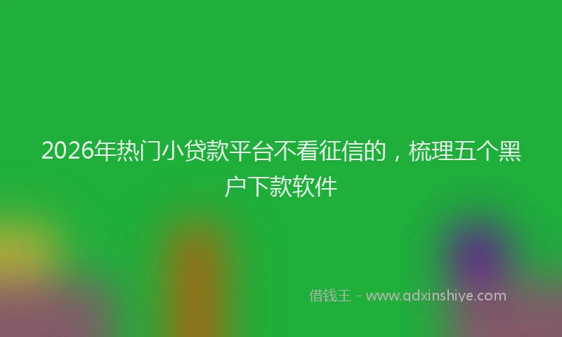 2026年热门小贷款平台不看征信的，梳理五个黑户下款软件