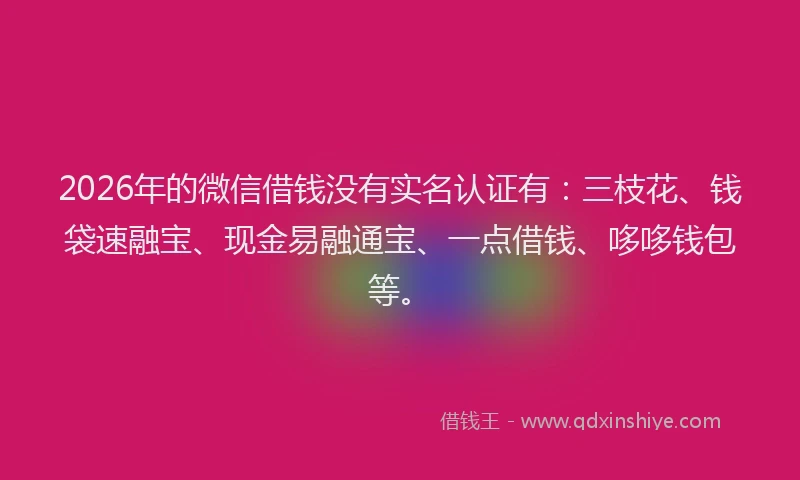 2026年的微信借钱没有实名认证有：三枝花、钱袋速融宝、现金易融通宝、一点借钱、哆哆钱包等。