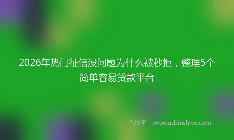 2026年热门征信没问题为什么被秒拒，整理5个简单容易贷款平台