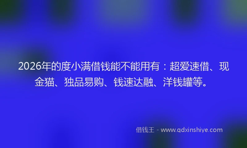 2026年的度小满借钱能不能用有：超爱速借、现金猫、独品易购、钱速达融、洋钱罐等。