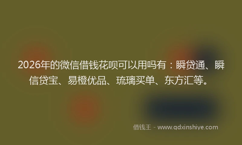 2026年的微信借钱花呗可以用吗有：瞬贷通、瞬信贷宝、易橙优品、琉璃买单、东方汇等。