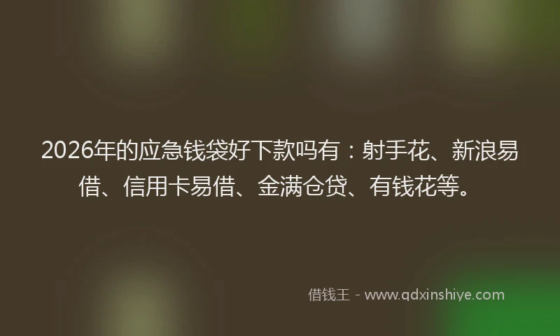 2026年的应急钱袋好下款吗有：射手花、新浪易借、信用卡易借、金满仓贷、有钱花等。