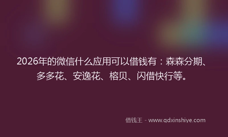 2026年的微信什么应用可以借钱有：森森分期、多多花、安逸花、榕贝、闪借快行等。