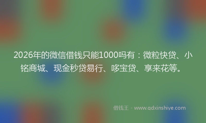 2026年的微信借钱只能1000吗有：微粒快贷、小铭商城、现金秒贷易行、哆宝贷、享来花等。