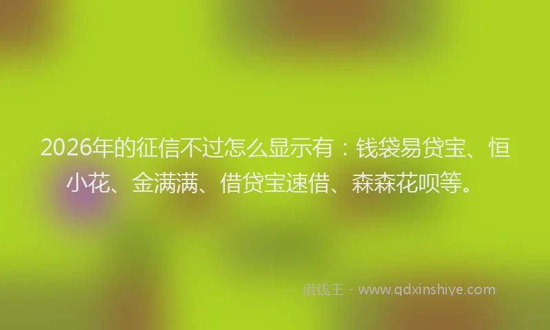 2026年的征信不过怎么显示有：钱袋易贷宝、恒小花、金满满、借贷宝速借、森森花呗等。