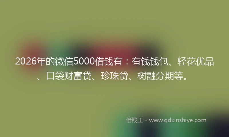 2026年的微信5000借钱有：有钱钱包、轻花优品、口袋财富贷、珍珠贷、树融分期等。