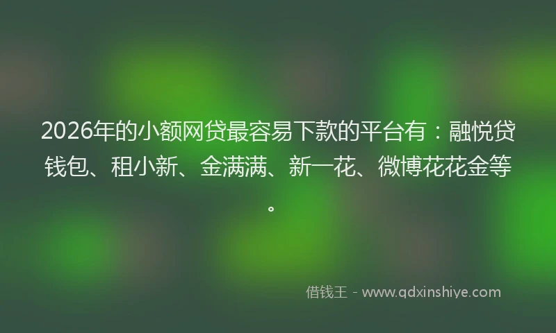 2026年的小额网贷最容易下款的平台有：融悦贷钱包、租小新、金满满、新一花、微博花花金等。