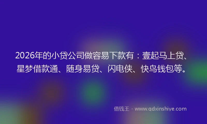 2026年的小贷公司做容易下款有：壹起马上贷、星梦借款通、随身易贷、闪电侠、快鸟钱包等。