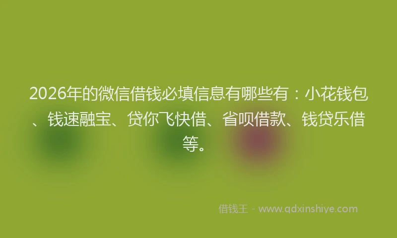 2026年的微信借钱必填信息有哪些有:小花钱包、钱速融宝、贷你飞快借、省呗借款、钱贷乐借等。