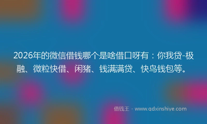 2026年的微信借钱哪个是啥借口呀有：你我贷-极融、微粒快借、闲猪、钱满满贷、快鸟钱包等。