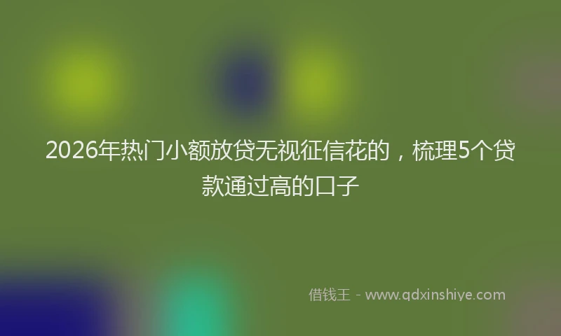 2026年热门小额放贷无视征信花的，梳理5个贷款通过高的口子