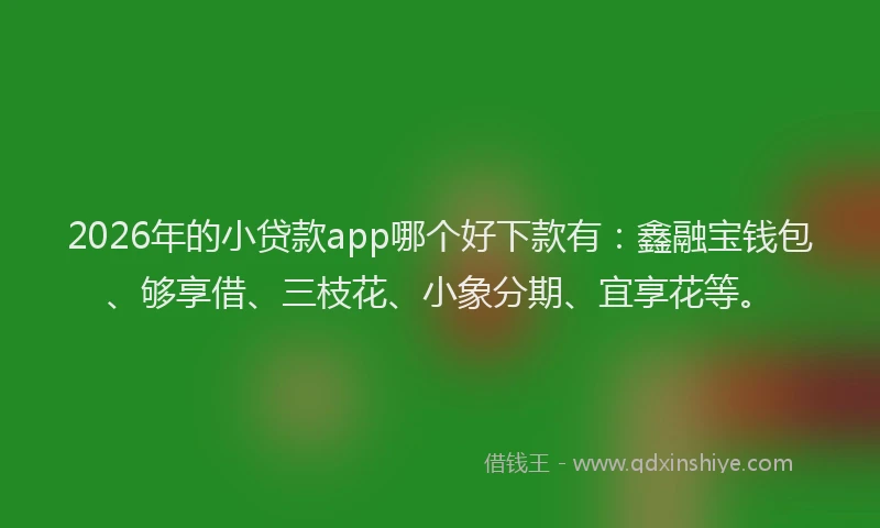 2026年的小贷款app哪个好下款有：鑫融宝钱包、够享借、三枝花、小象分期、宜享花等。