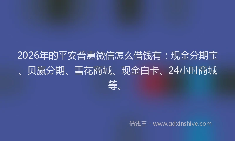 2026年的平安普惠微信怎么借钱有：现金分期宝、贝赢分期、雪花商城、现金白卡、24小时商城等。