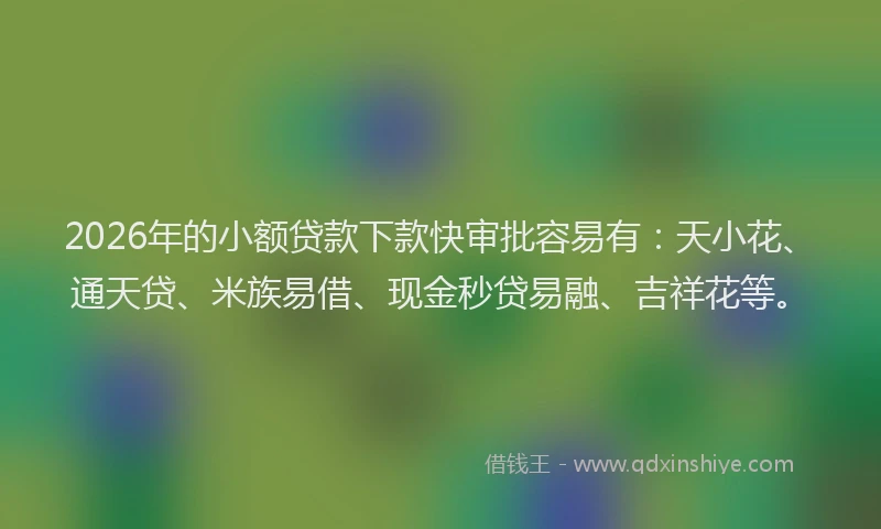 2026年的小额贷款下款快审批容易有：天小花、通天贷、米族易借、现金秒贷易融、吉祥花等。