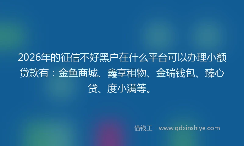 2026年的征信不好黑户在什么平台可以办理小额贷款有:金鱼商城、鑫享租物、金瑞钱包、臻心贷、度小满等。