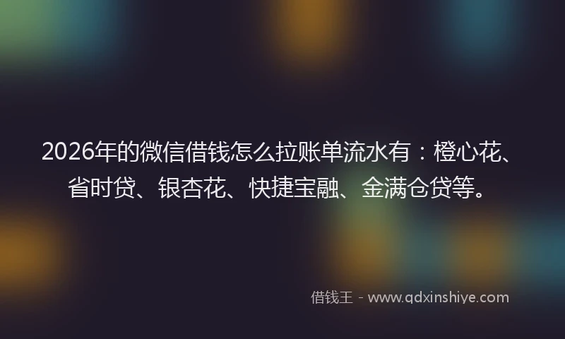 2026年的微信借钱怎么拉账单流水有：橙心花、省时贷、银杏花、快捷宝融、金满仓贷等。