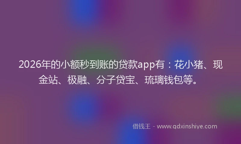 2026年的小额秒到账的贷款app有：花小猪、现金站、极融、分子贷宝、琉璃钱包等。