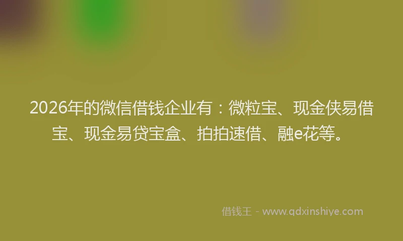 2026年的微信借钱企业有：微粒宝、现金侠易借宝、现金易贷宝盒、拍拍速借、融e花等。