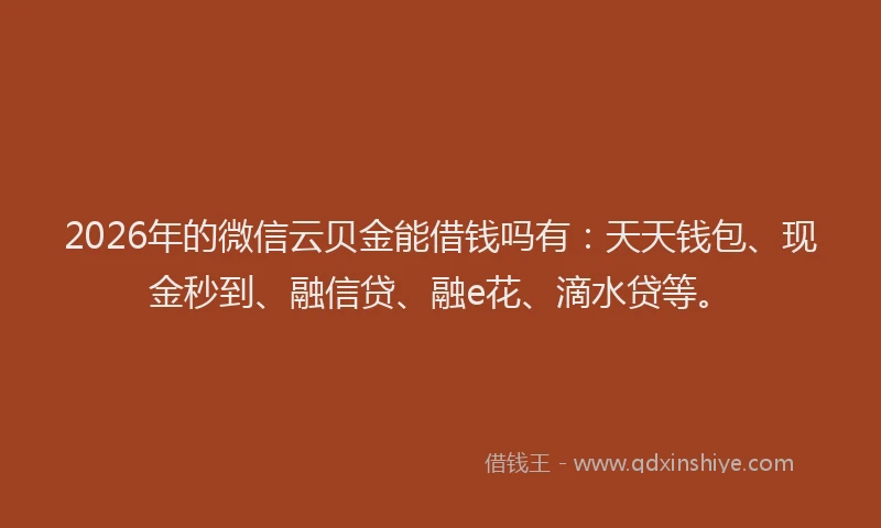 2026年的微信云贝金能借钱吗有：天天钱包、现金秒到、融信贷、融e花、滴水贷等。