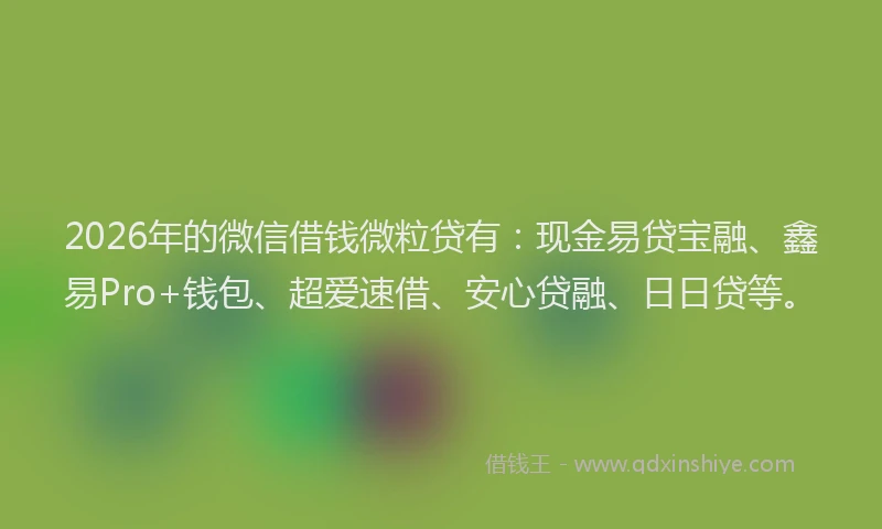 2026年的微信借钱微粒贷有：现金易贷宝融、鑫易Pro+钱包、超爱速借、安心贷融、日日贷等。