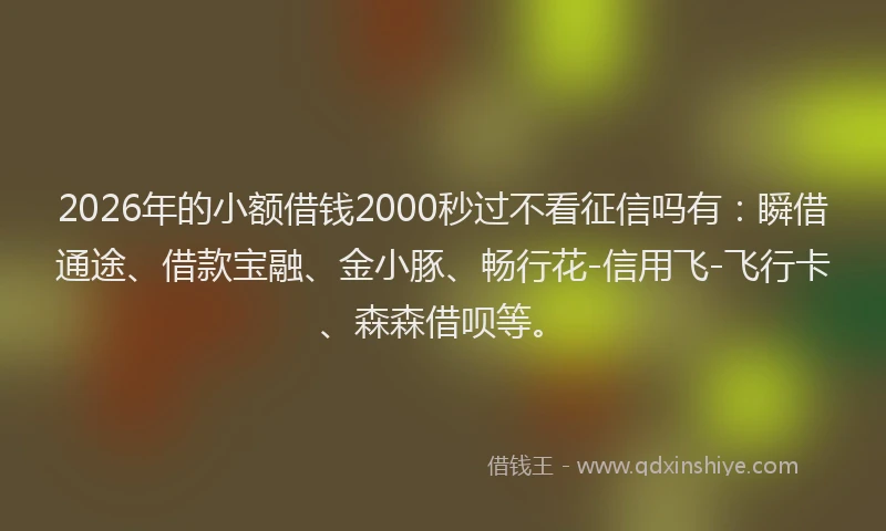 2026年的小额借钱2000秒过不看征信吗有：瞬借通途、借款宝融、金小豚、畅行花-信用飞-飞行卡、森森借呗等。