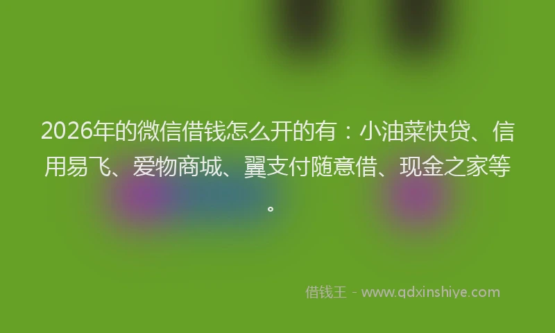 2026年的微信借钱怎么开的有：小油菜快贷、信用易飞、爱物商城、翼支付随意借、现金之家等。