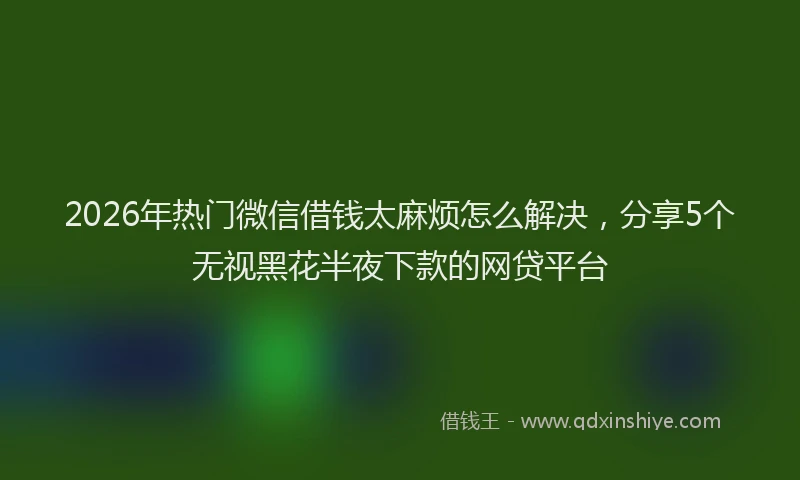 2026年热门微信借钱太麻烦怎么解决，分享5个无视黑花半夜下款的网贷平台