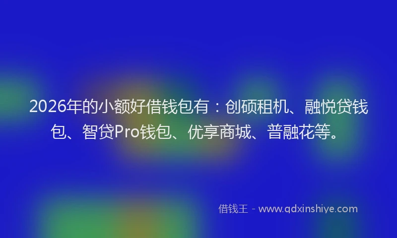 2026年的小额好借钱包有：创硕租机、融悦贷钱包、智贷Pro钱包、优享商城、普融花等。
