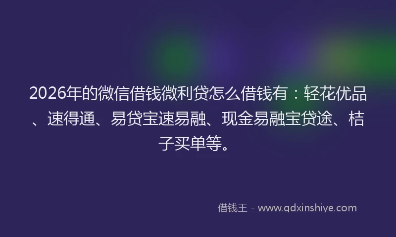 2026年的微信借钱微利贷怎么借钱有：轻花优品、速得通、易贷宝速易融、现金易融宝贷途、桔子买单等。
