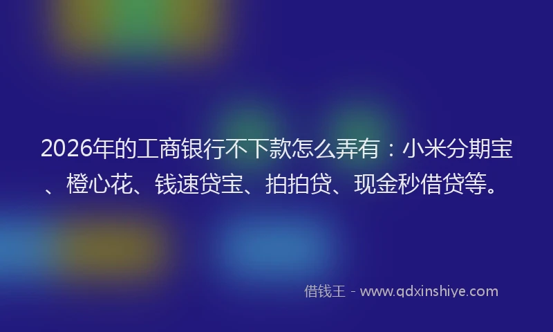 2026年的工商银行不下款怎么弄有：小米分期宝、橙心花、钱速贷宝、拍拍贷、现金秒借贷等。