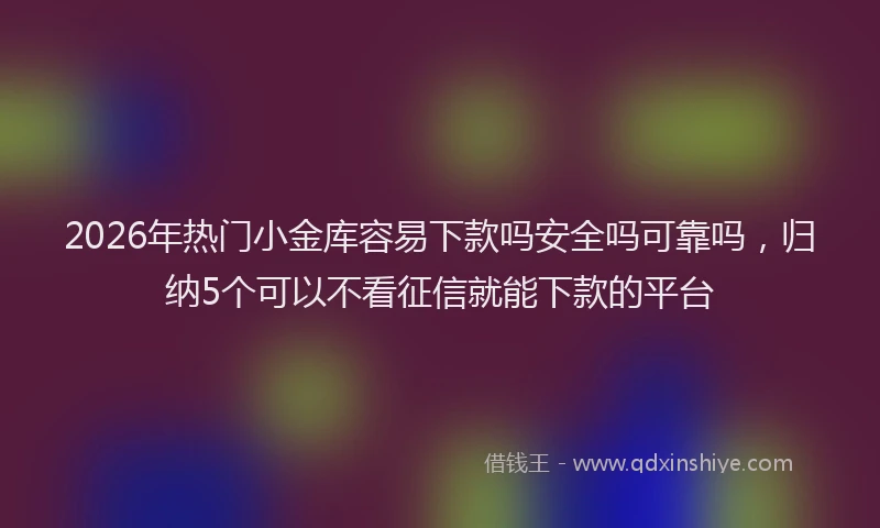 2026年热门小金库容易下款吗安全吗可靠吗，归纳5个可以不看征信就能下款的平台