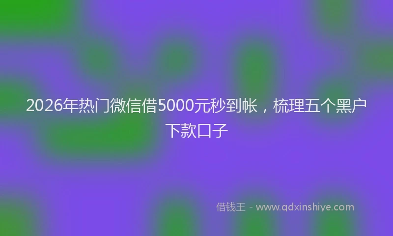 2026年热门微信借5000元秒到帐，梳理五个黑户下款口子