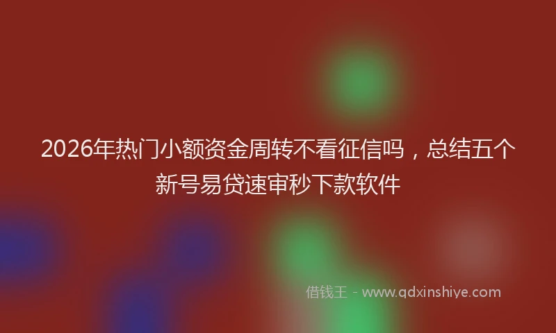 2026年热门小额资金周转不看征信吗，总结五个新号易贷速审秒下款软件