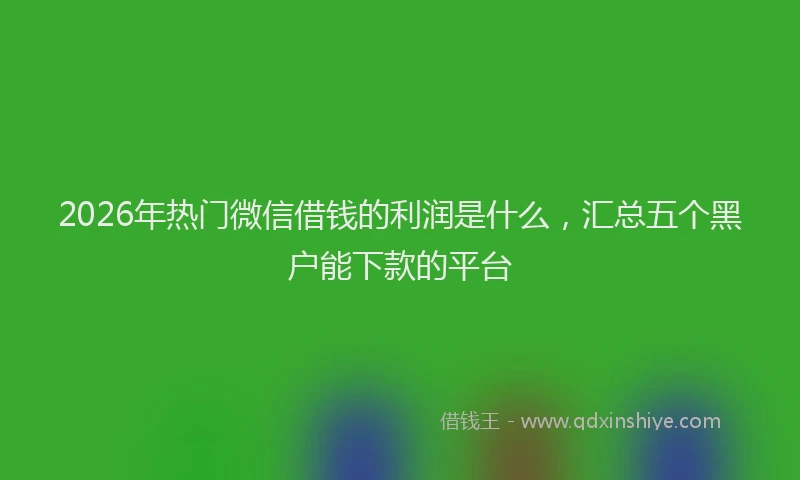 2026年热门微信借钱的利润是什么，汇总五个黑户能下款的平台