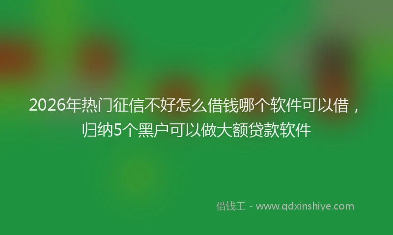 2026年热门征信不好怎么借钱哪个软件可以借，归纳5个黑户可以做大额贷款软件