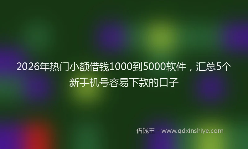 2026年热门小额借钱1000到5000软件,汇总5个新手机号容易下款的口子