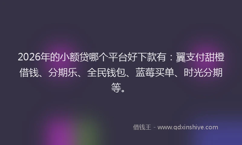 2026年的小额贷哪个平台好下款有：翼支付甜橙借钱、分期乐、全民钱包、蓝莓买单、时光分期等。