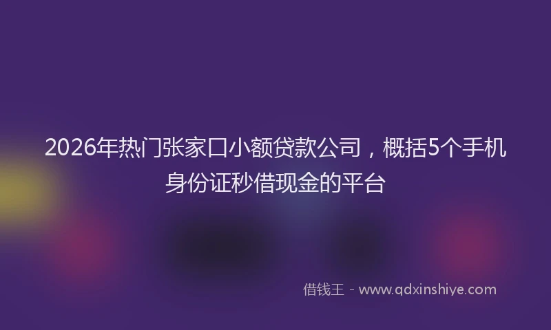2026年热门张家口小额贷款公司，概括5个手机身份证秒借现金的平台