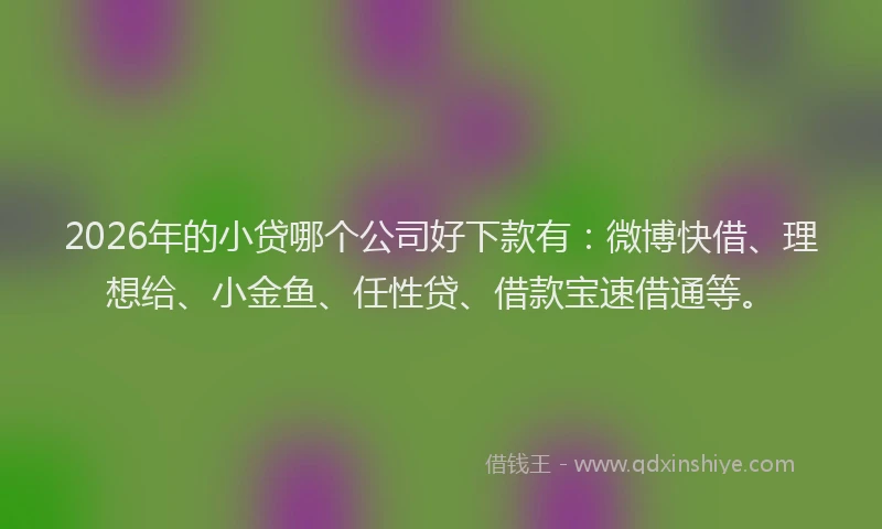 2026年的小贷哪个公司好下款有：微博快借、理想给、小金鱼、任性贷、借款宝速借通等。