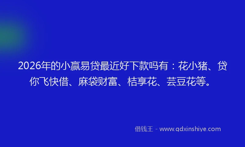 2026年的小赢易贷最近好下款吗有：花小猪、贷你飞快借、麻袋财富、桔享花、芸豆花等。
