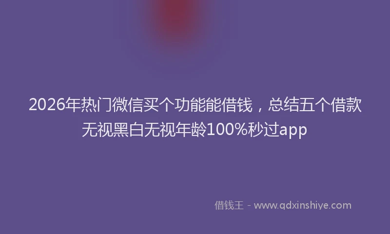 2026年热门微信买个功能能借钱，总结五个借款无视黑白无视年龄100%秒过app