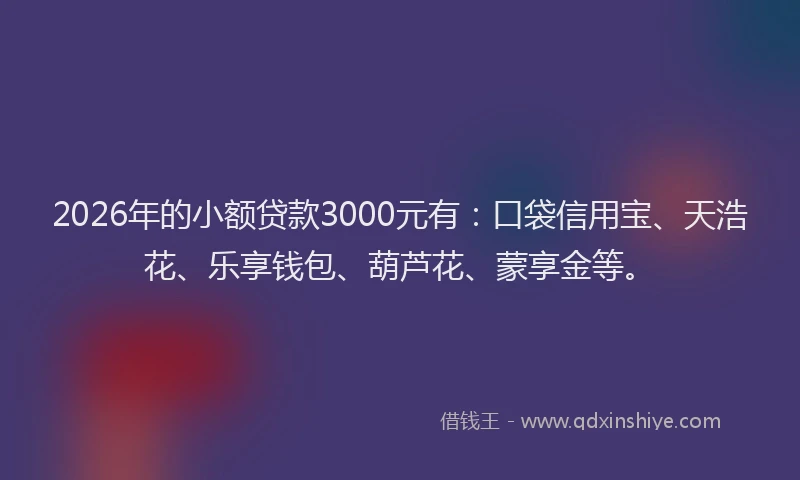 2026年的小额贷款3000元有：口袋信用宝、天浩花、乐享钱包、葫芦花、蒙享金等。